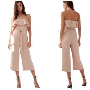 Aritzia Babaton Flutter Altamiro Wide-Leg Ruffled Jumpsuit Camille Pink Sz 4 NWT